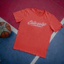 product.template(10189,)