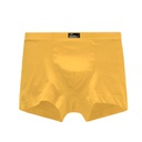 BOXER - DIXIA