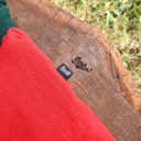 CUELLERA - LOYALCREW (Pack x3)