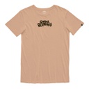 REMERA MANGAS CORTAS - PINTA