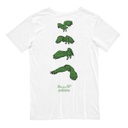 REMERA MANGA CORTA - ÑACURUTU
