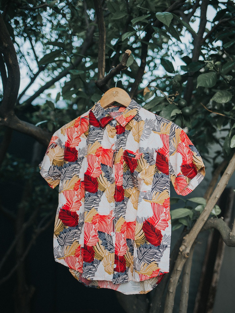 CAMISA MANGAS CORTAS MUJER - CRISTALINO