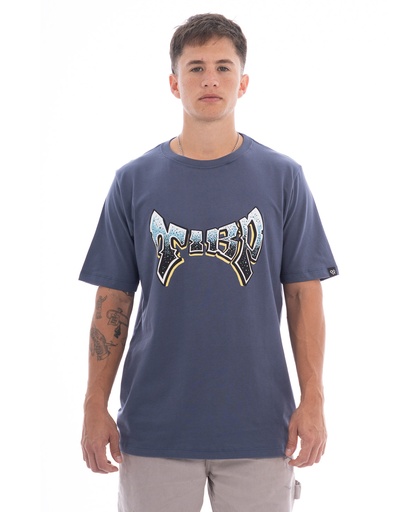 [031215H155] REMERA - AVE